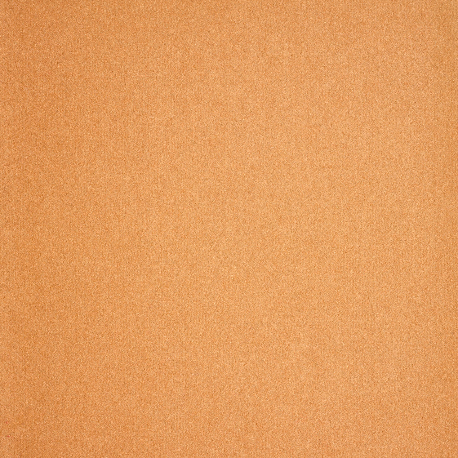 Velours Messeteppich Salsa mit Folie B1 kamel 1995